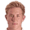 Lewis Holtby