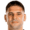 Aleksandar Mitrovic