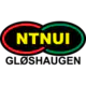 NTNUI