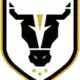 Northbridge FC Bulls