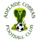 Adelaide Cobras