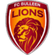 Bulleen Lions