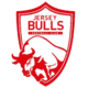 Jersey Bulls