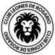 Leones de Rosario