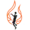Townsville Flames