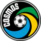 NY Cosmos