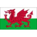 Wales U19
