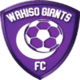 Wakiso Giants