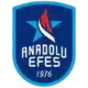 Anadolu Efes SK