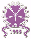 Guzide Gebzespor