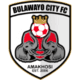Bulawayo Chiefs