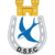 Dungannon Swifts