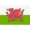 Pays de Galles U17