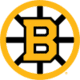 Boston Bruins