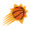 Phoenix Suns