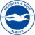 Brighton & Hove Albion Academy