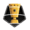 Copa Bicentenario Perú